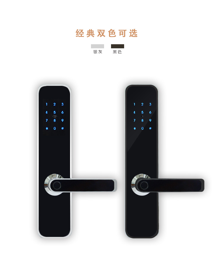 欧尚P21蓝牙智能锁可选黑白两色
