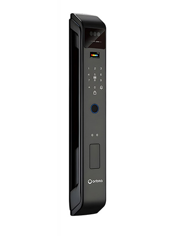 ECO-243 3D face smart lock